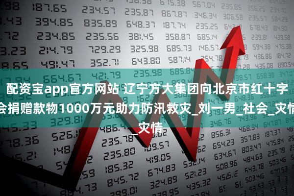 配资宝app官方网站 辽宁方大集团向北京市红十字会捐赠款物1000万元助力防汛救灾_刘一男_社会_灾情