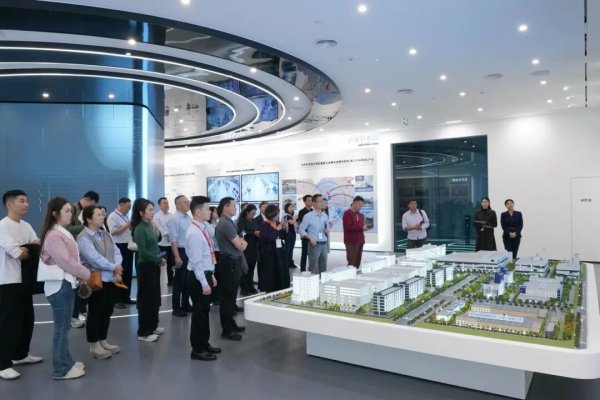 配资安全指数网 中国经济论坛嘉宾考察南沙