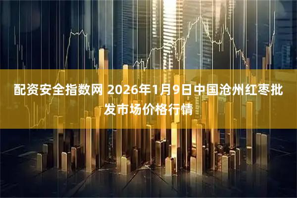 配资安全指数网 2026年1月9日中国沧州红枣批发市场价格行情